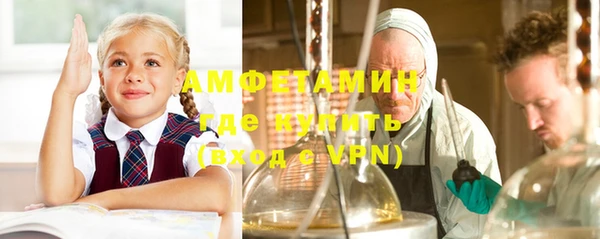 шишки Аркадак