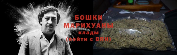шишки Аркадак