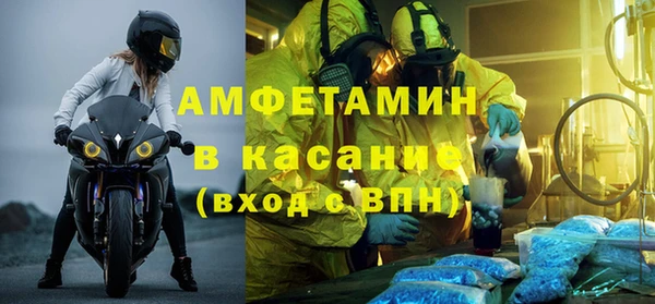 шишки Аркадак
