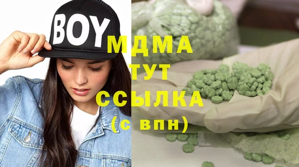 шишки Аркадак
