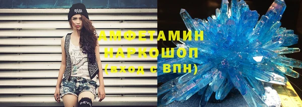 шишки Аркадак