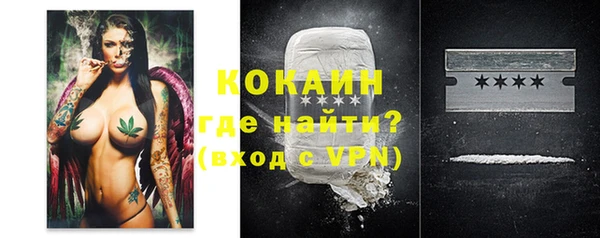шишки Аркадак